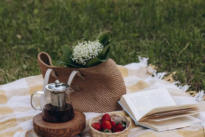 Пікнік із книжкою та полуницею на траві
